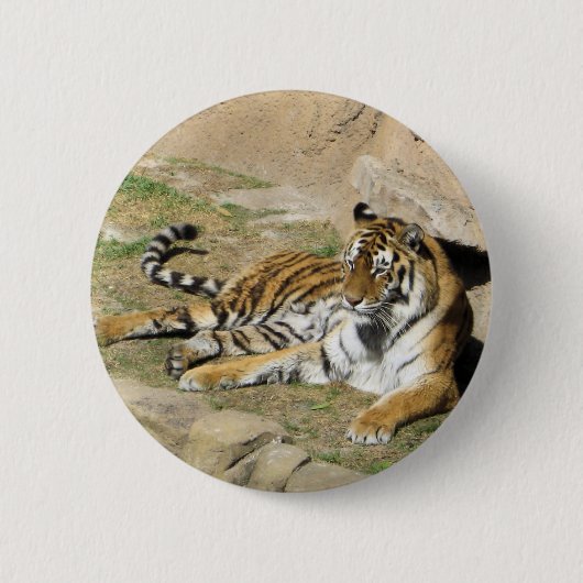 Slaaptijger Ronde Button 5,7 Cm (Voorkant)