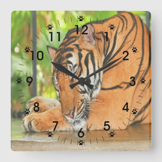 Slaaptijger Vierkante Klok (Voorkant)