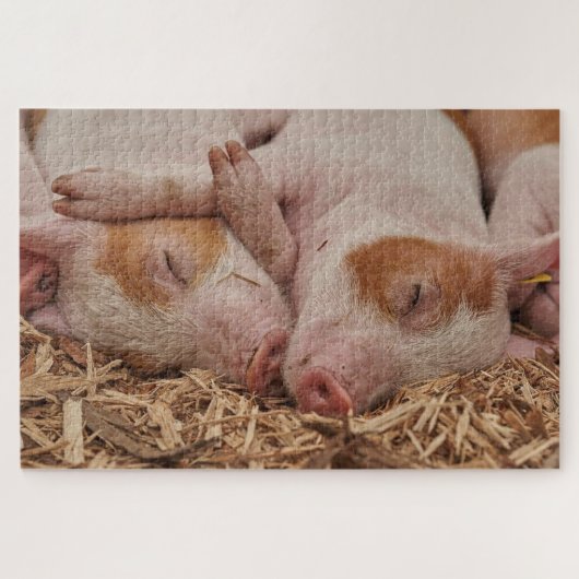 Slaapvarkens Legpuzzel (Horizontaal)
