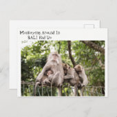 Slaapvolle apen in het Bali-Briefkaart Briefkaart (Voorkant / Achterkant)