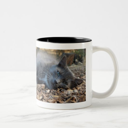 Slaapvolle Mok voor katten en kranen (Rechts)