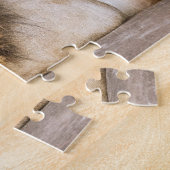 Slaapvolle, slapende, volwassen leeuw op Rocks Legpuzzel (Zijkant)