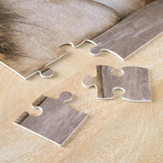 Slaapvolle, slapende, volwassen leeuw op Rocks Legpuzzel (Zijkant)