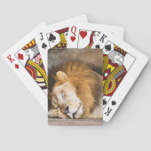 Slaapvolle, slapende, volwassen leeuw op Rocks Pokerkaarten (Achterkant)