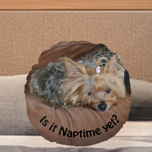 Slaapvolle Yorkshire Terrier is het Naptime nog Rond Kussen