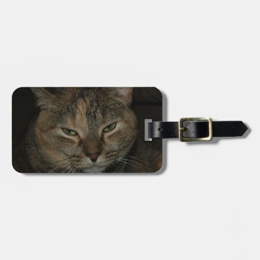 Slaapvrij Bagagelabel (Voorkant horizontaal)