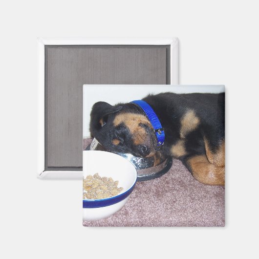 slaapwandelaar. magneet (Voorkant / Achterkant)