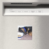 slaapwandelaar. magneet (Insitu (Vaatwasser))