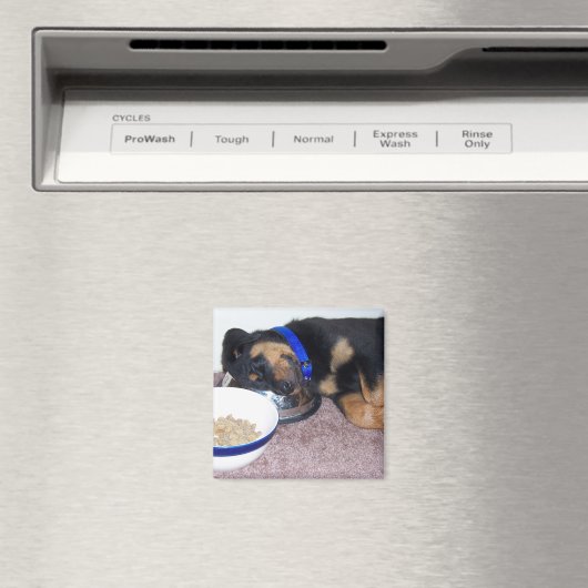 slaapwandelaar. magneet (Insitu (Vaatwasser))