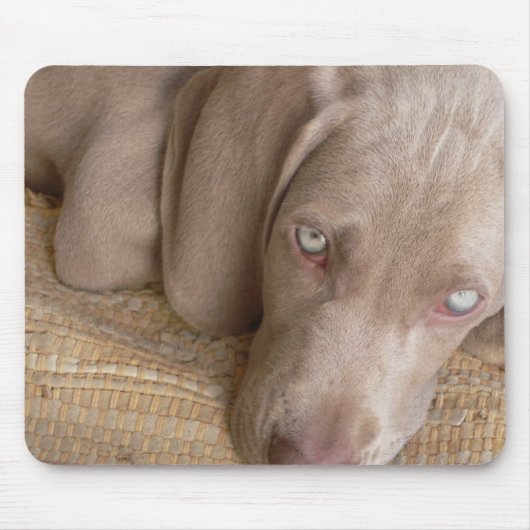 Slaapweimaraner Muismat (Voorkant)