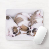 Slaapwelsh corgi-puppies muismat (Met muis)
