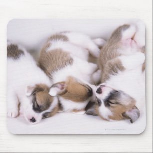 Slaapwelsh corgi-puppies muismat