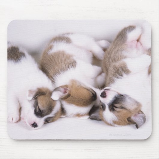 Slaapwelsh corgi-puppies muismat (Voorkant)