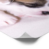 Slaapwelsh corgi-puppies poster (Hoek)