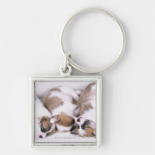 Slaapwelsh corgi-puppies sleutelhanger