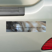 SlaapwolfBumpersticker Bumpersticker (Op auto)