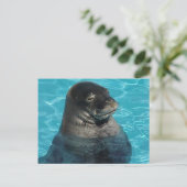 "SLAAPZEGEL" BRIEFKAART (Staand voorkant)