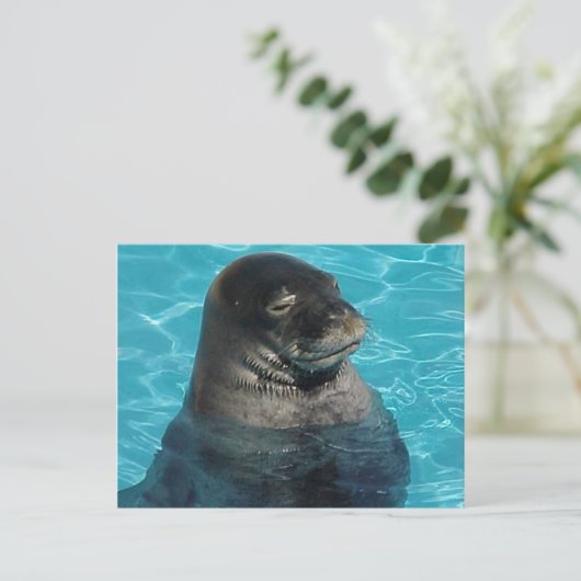 "SLAAPZEGEL" BRIEFKAART (Staand voorkant)