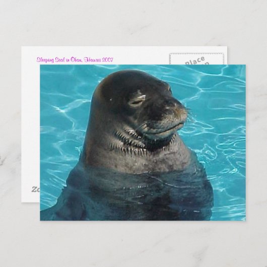 "SLAAPZEGEL" BRIEFKAART (Voorkant / Achterkant)