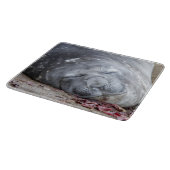 Slaapzegel Snijplank (Hoek)