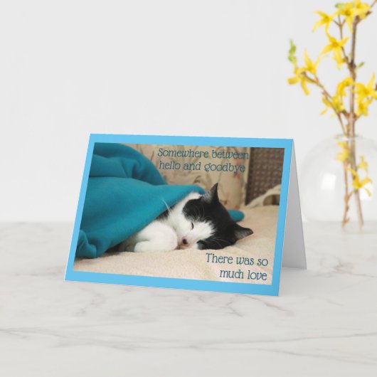 Slaapzwart en wit kat kaart (Gele Bloem)