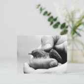 Slaat - briefkaart (Staand voorkant)