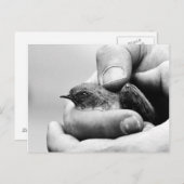 Slaat - briefkaart (Voorkant / Achterkant)