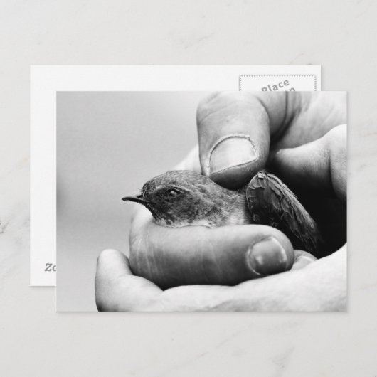 Slaat - briefkaart (Voorkant / Achterkant)