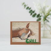 Slach van slaappaarden: Chill Briefkaart (Staand voorkant)