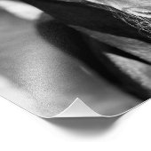 Slachthazen (zwart-wit) foto afdruk (Hoek)