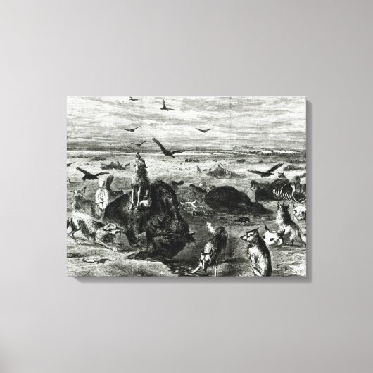 Slachting van buffels op de vlakken canvas afdruk (Voorkant)