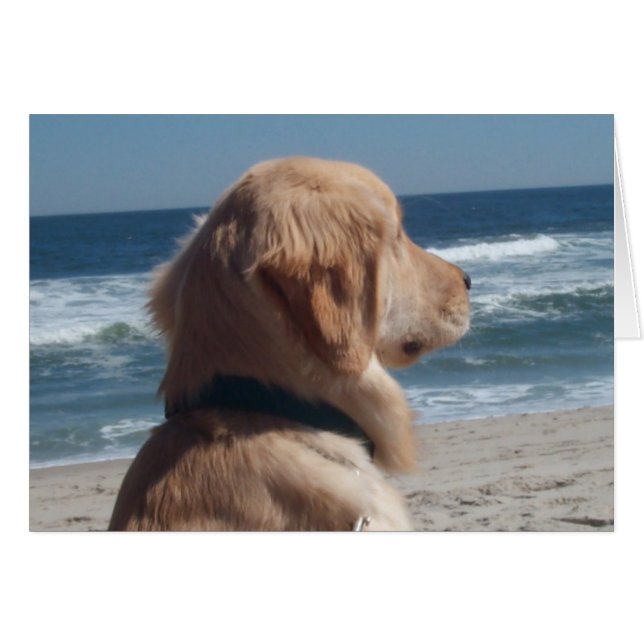 Slachtoffer bij het strand (Voorkant Horizontaal)