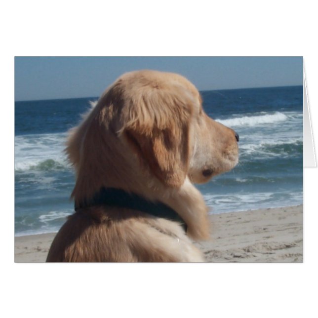 Slachtoffer bij het strand (Voorkant Horizontaal)