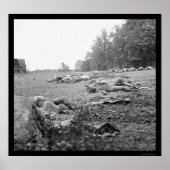 Slachtoffers tijdens de strijd om Gettysburg 1863 Poster (Voorkant)