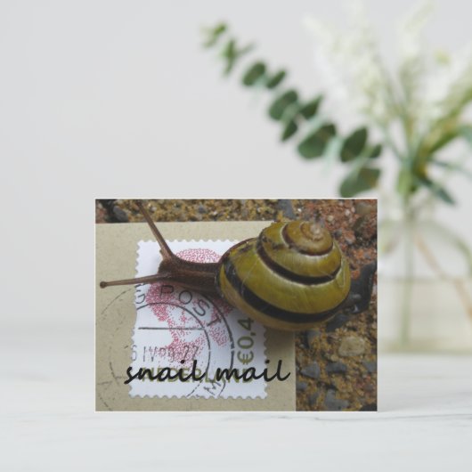 Slachtpost Briefkaart (Staand voorkant)