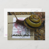 Slachtpost Briefkaart (Voorkant / Achterkant)