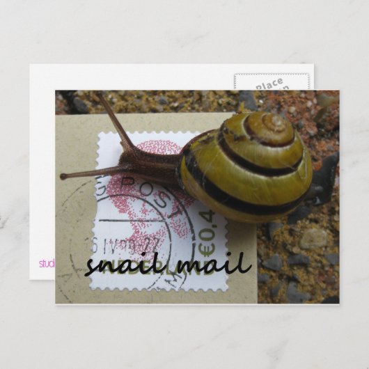 Slachtpost Briefkaart (Voorkant / Achterkant)