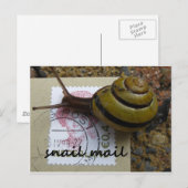 Slachtpost Briefkaart (Voorkant / Achterkant)