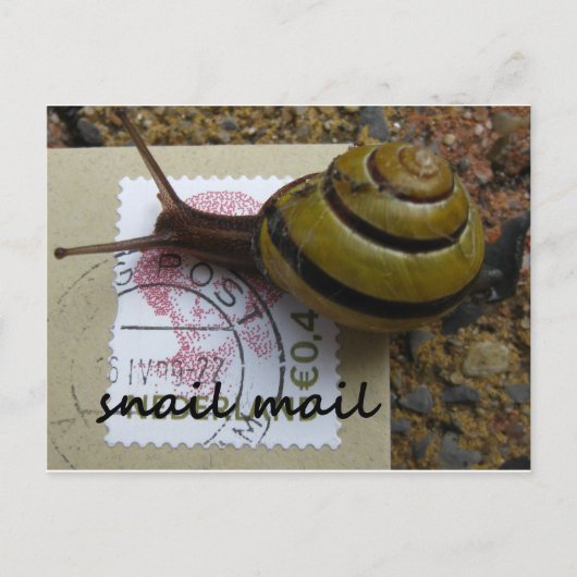 Slachtpost Briefkaart (Voorkant)