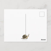 Slachtpost Briefkaart (Achterkant)