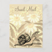 Slachtpost Briefkaart (Voorkant)