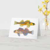 Slackwater & oranje-Throated Darters Kaart (Gele Bloem)