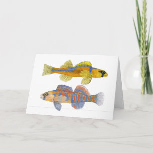 Slackwater & oranje-Throated Darters Kaart
