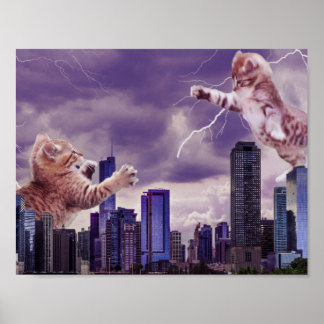 Slag bij de katten poster