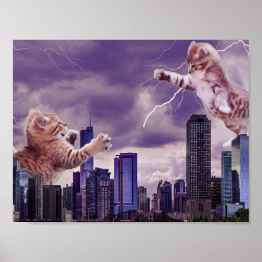 Slag bij de katten poster (Voorkant)