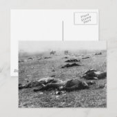 Slag bij Gettysburg ~ Harvest of Death Juli 1863 Briefkaart (Voorkant / Achterkant)