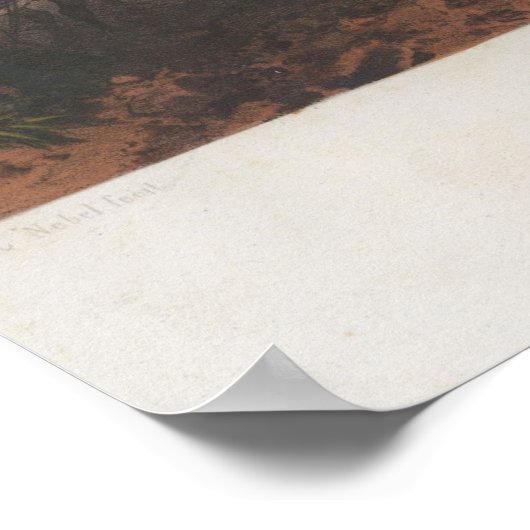 Slag bij Monterey Poster (Hoek)