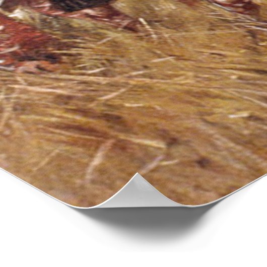 Slag bij New Orleans Poster (Hoek)