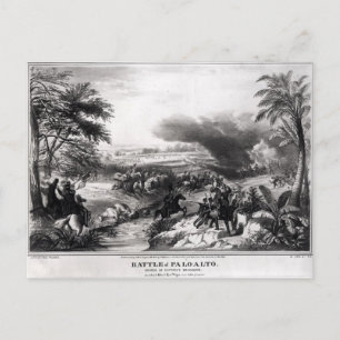Slag bij Palo Alto Briefkaart