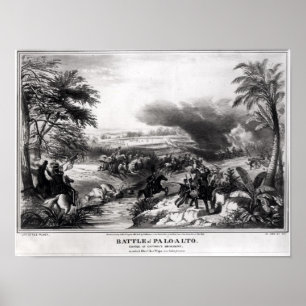 Slag bij Palo Alto Poster
